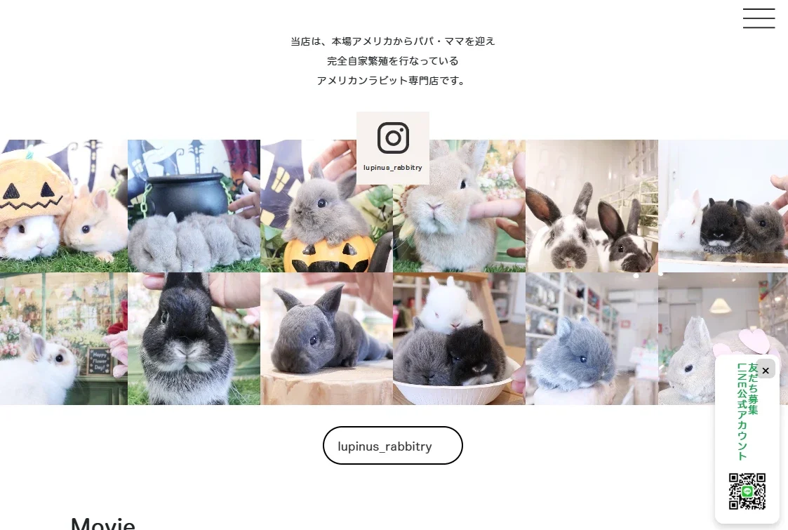 ルピナスラビトリーのWebサイト